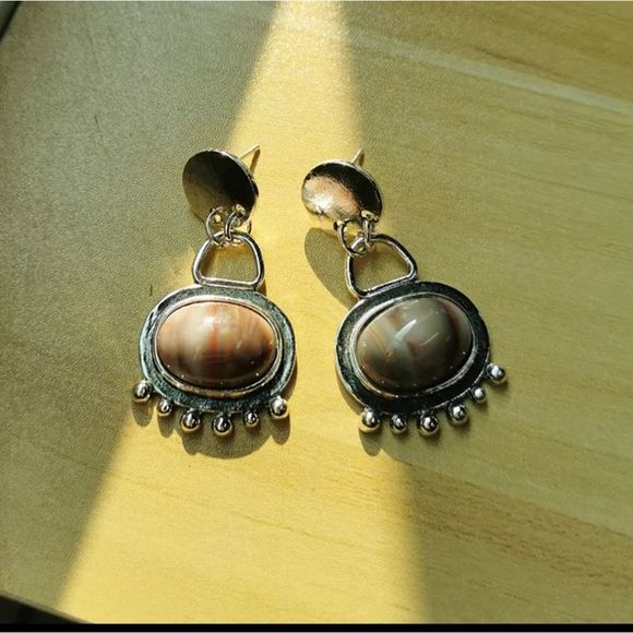 Silver titanium large bloodstone agate drop boho earrings new - Picture 3 of 4
